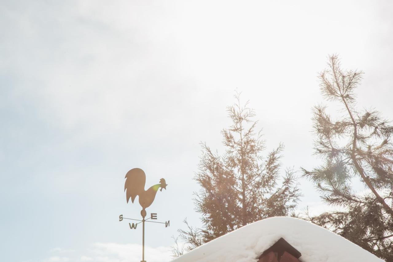 Hotel Августин à Solochyn Extérieur photo