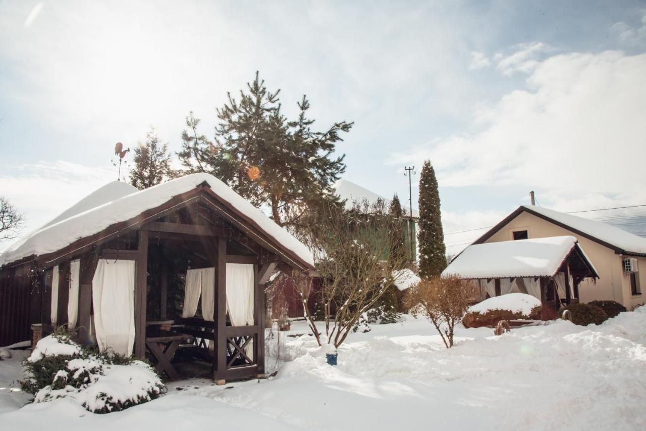Hotel Августин à Solochyn Extérieur photo